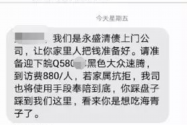 马村为什么选择专业追讨公司来处理您的债务纠纷？